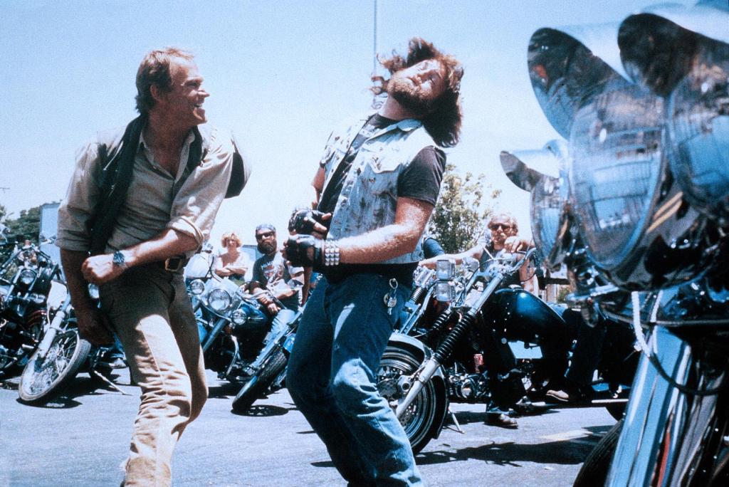 Renegade: один мотоциклист против зла в пыли и солнце